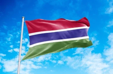 flag the gambia